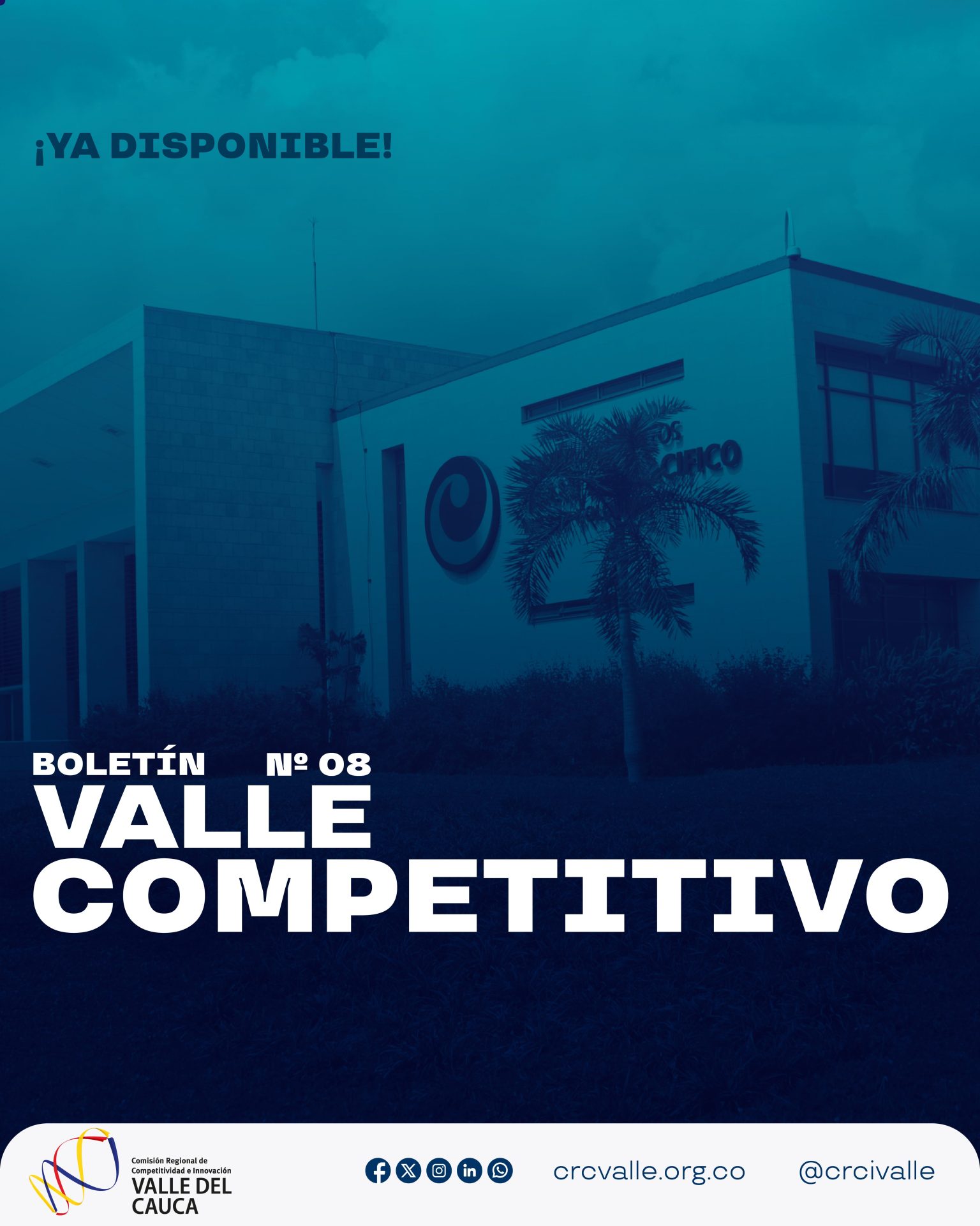 Imagen de Boletín Valle Competitivo N°8