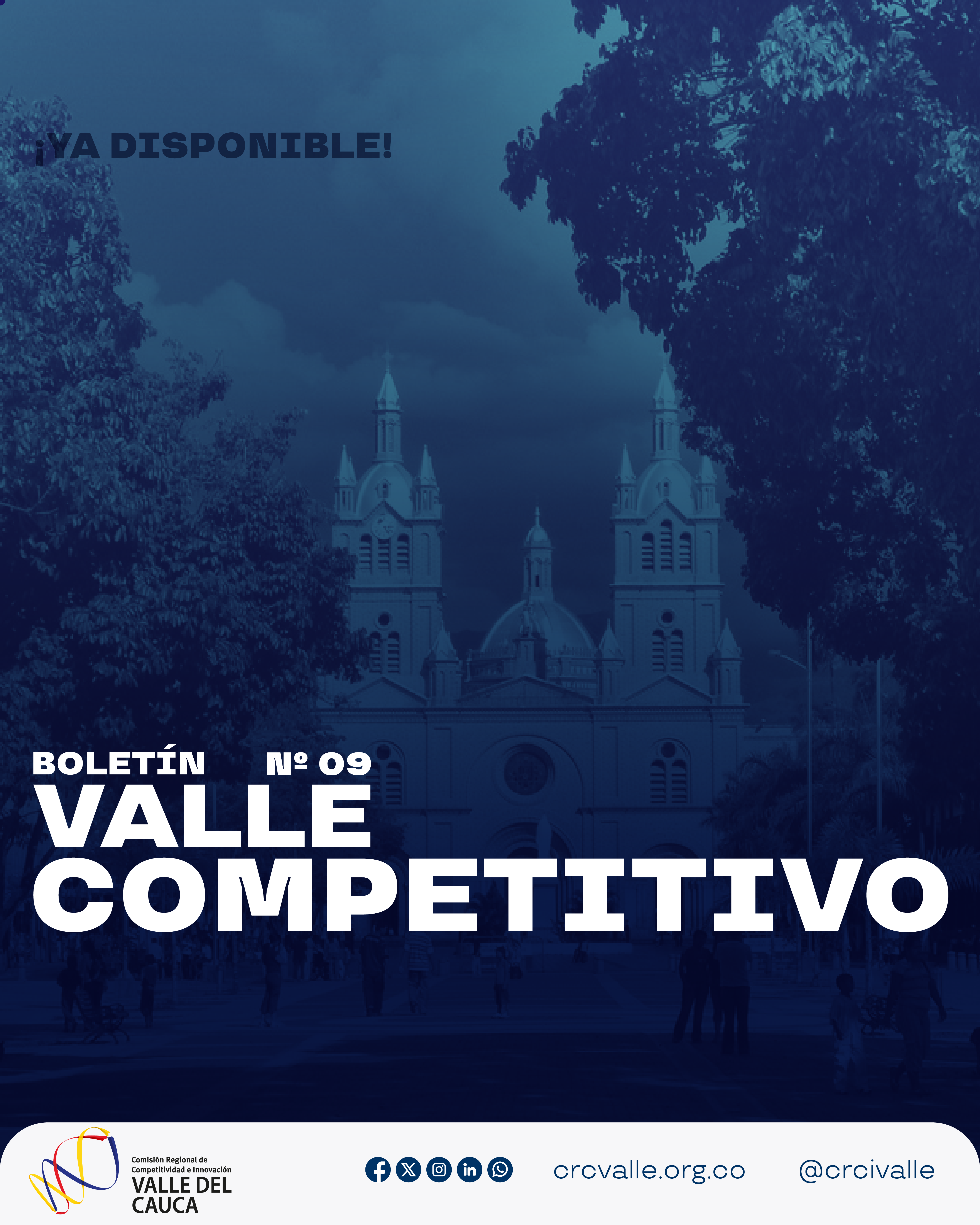 Imagen de Boletín Valle Competitivo N°9