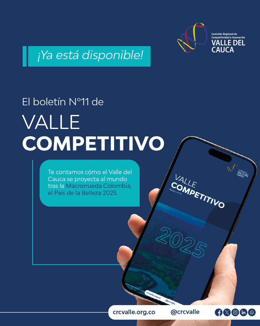 Imagen de Boletín Valle Competitivo N°11