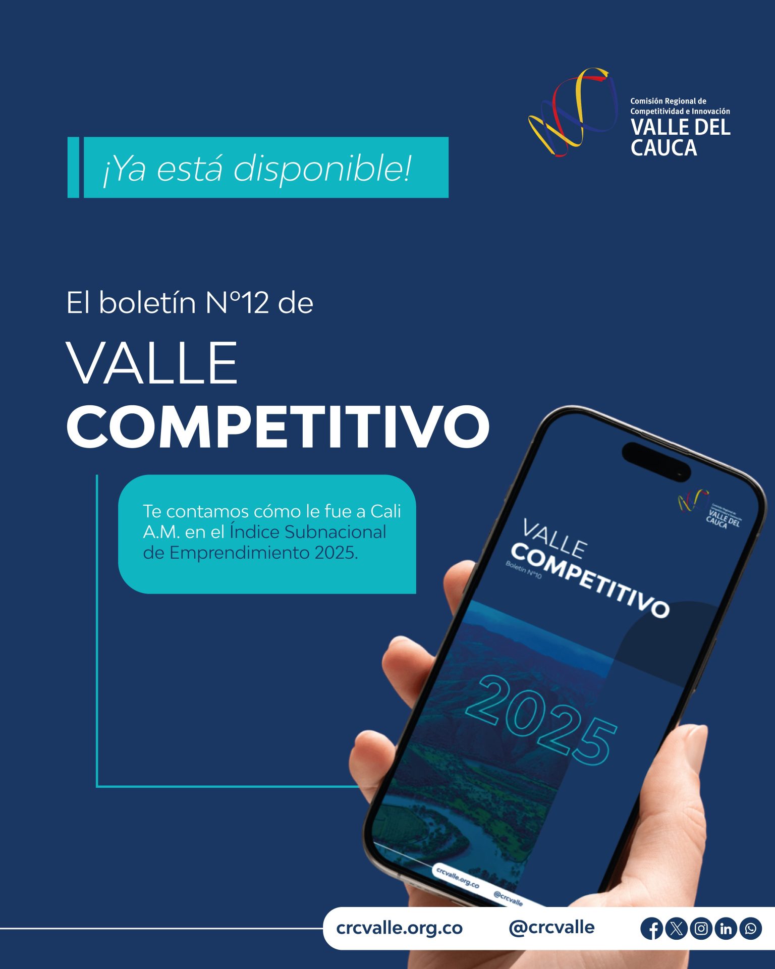 Imagen de Boletín Valle Competitivo N°12